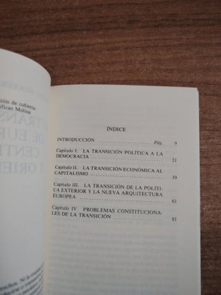 Las transiciones de Europa central y oriental