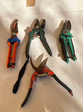 Tijeras de podar  y Caja de herramientas.