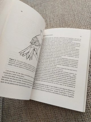 Así se cuida un canario. Manuel Company.
