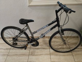 Bicicleta Vivanti Racing 124V
