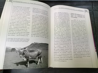 REPÚBLICA, GUERRA CIVIL Y POSGUERRA EN EL SAJA