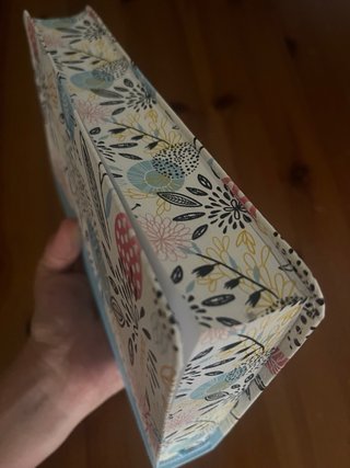 Santa Biblia Reina Valera 1960