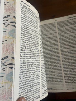 Santa Biblia Reina Valera 1960