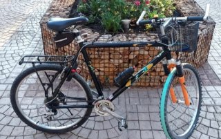Bicicleta Holandesa 26 8V 3 Platos rueda 26.P
