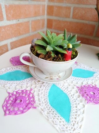 Planta suculenta en taza decorada