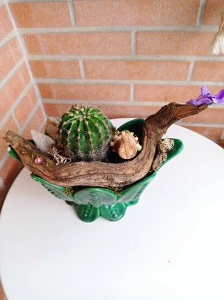Planta natural decorada con figuras