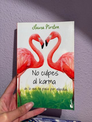 No culpes al karma de lo que te pasa por gilipo...