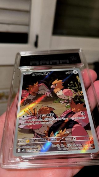 SPEAROW