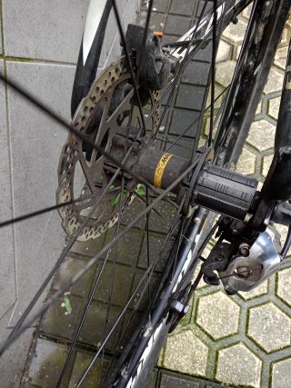 Smontaggio bicicletta Scott Carbono 29