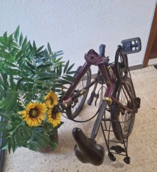 Bicicleta plegable Btwin Hoptown