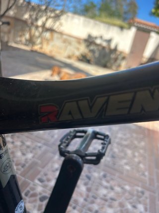 Bicicleta GW Raven