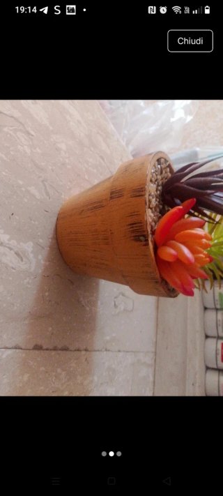 Pianta succulenta artificiale in vaso