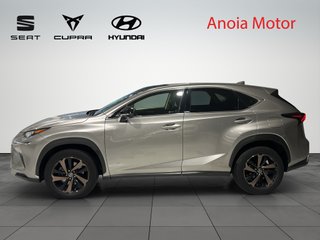 Lexus NX 300 H SPORT HEV 200 CV
