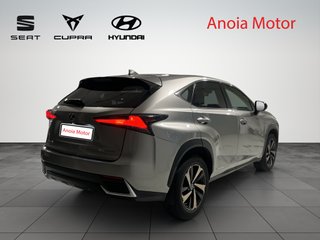 Lexus NX 300 H SPORT HEV 200 CV