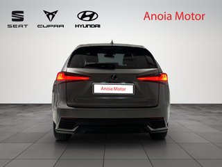 Lexus NX 300 H SPORT HEV 200 CV