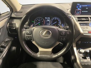 Lexus NX 300 H SPORT HEV 200 CV