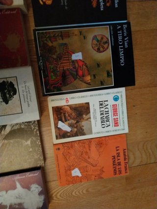 Clásicos de literatura francesa