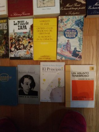 Clásicos de literatura francesa