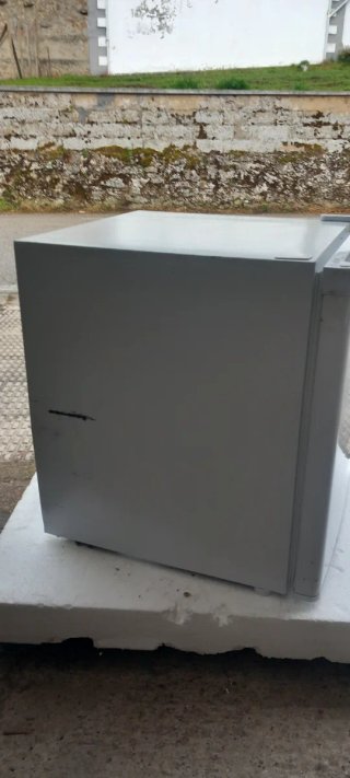 Mini frigorifero Svan 220V