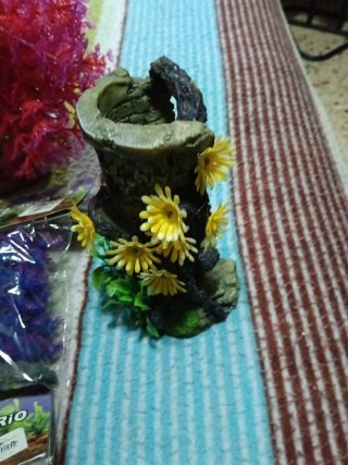 Accesorios para acuario