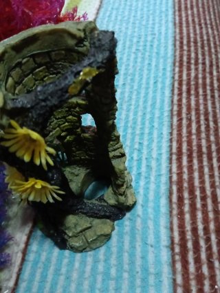 Accesorios para acuario