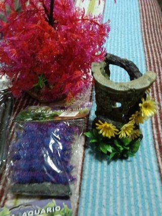 Accesorios para acuario