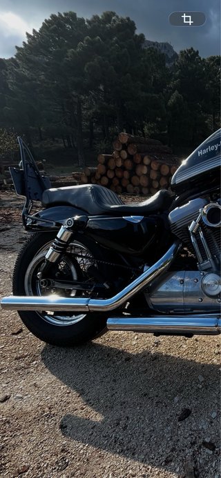 Asiento Harley Davidson 883