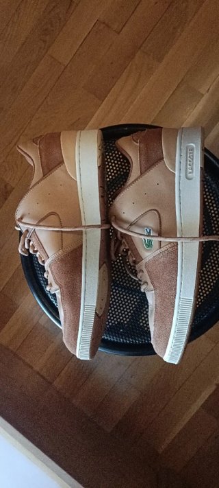 Zapatillas Lacoste Beige y Marrón
