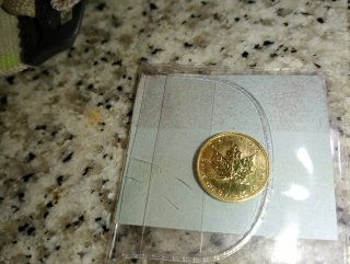 Moneda de Oro 1984 Isabel II 5 Dólares Maple Leaf