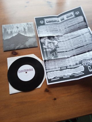 Lote 3 vinilos Punk: Cámara de Gas, Endecha...