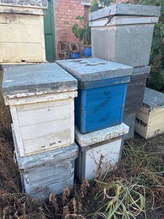 Cajas de colmenas layens
