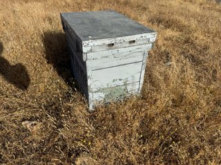Cajas de colmenas layens