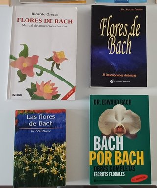 Libros Terapia Floral