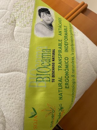 Cama articulada Biotachos + colchón viscoelástico