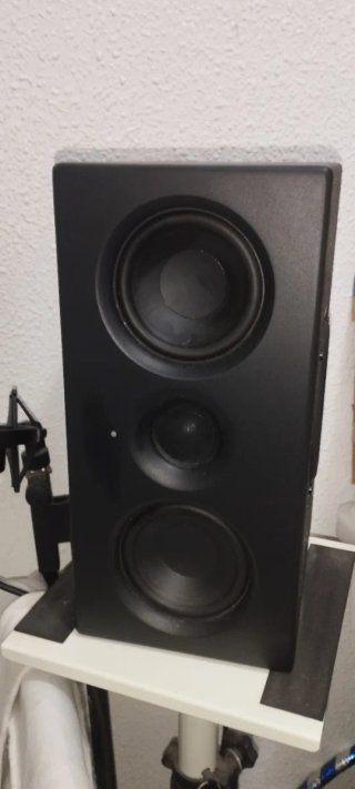 Pareja Monitores Estudio Swissonic T204