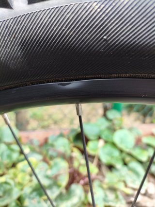 Rueda trasera Trek Alex MD35 Boost 29’’