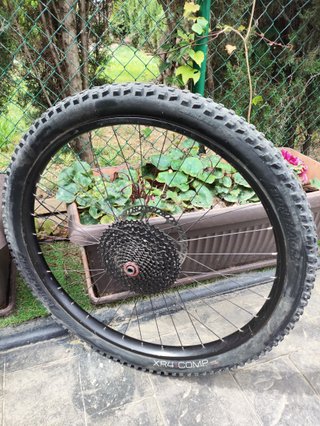 Rueda trasera Trek Alex MD35 Boost 29’’