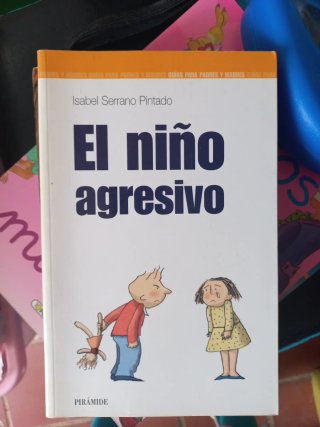 El niño agresivo
