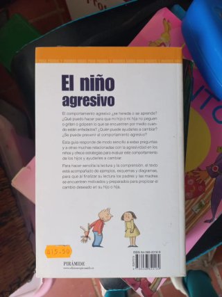 El niño agresivo