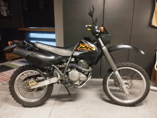 Suzuki DR 350