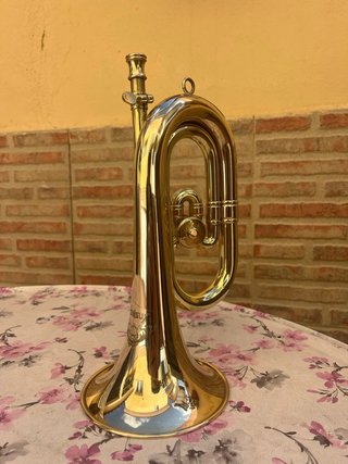 Corneta Honsuy Carmen Brillante Especial
