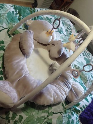 Gimnasio Bebé Oso Peluche