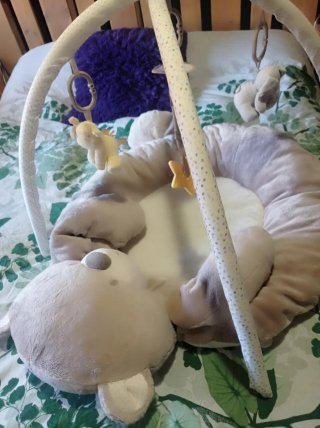 Gimnasio Bebé Oso Peluche