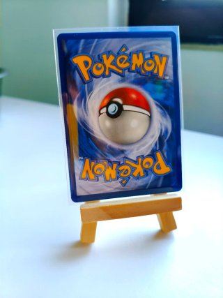 Pokémon Amor & Paz