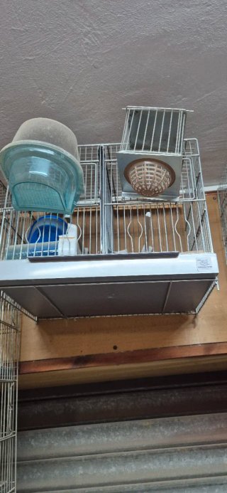 Jaulas para pájaros (varios)