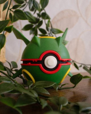 Pokeball Rayquaza