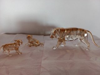 Tigri Swarovski Cristal SCS