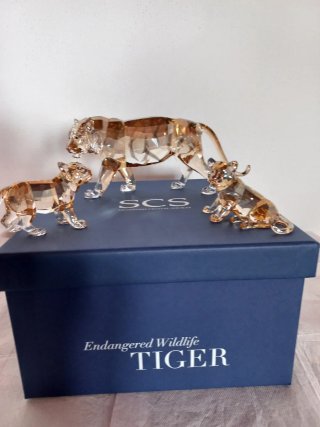 Tigri Swarovski Cristal SCS