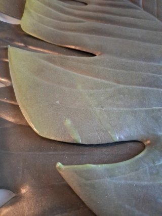 Tovagliette Foglie Monstera in Plastica