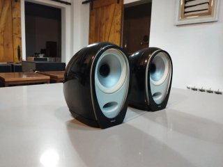 Altavoces TANNOY